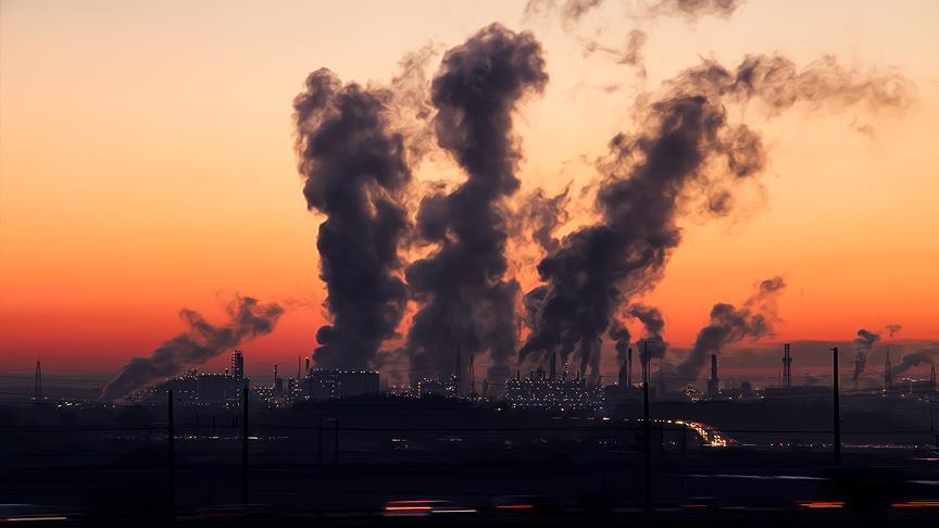 Eco-fascism: Humanity is Not The Problem, Neoliberalism Is